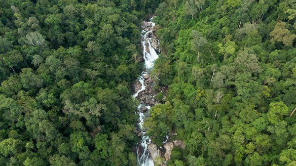 Maîtrisez l'art du son : Astuces pour bien choisir votre équipement audio