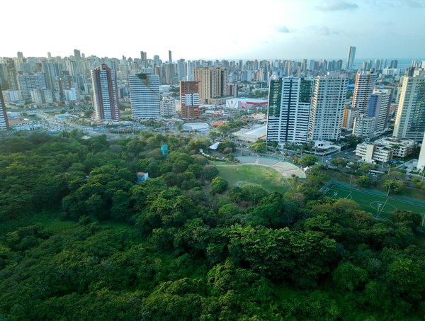 Découvrez les avantages de la lanterne solaire pour votre jardin !