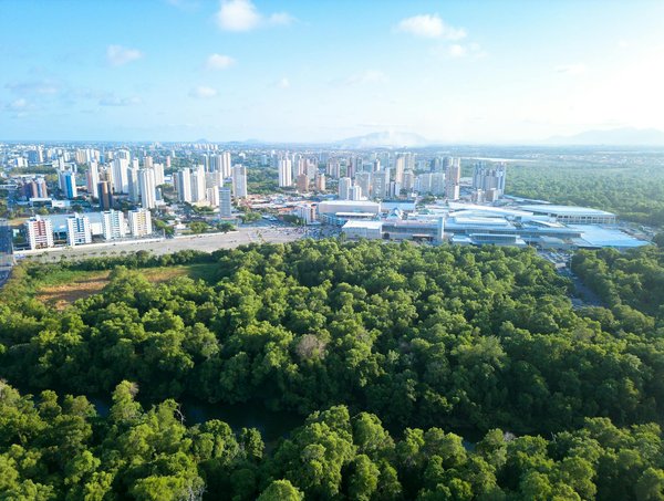 Quels sont les meilleurs thèmes pour une décoration de Noël ?