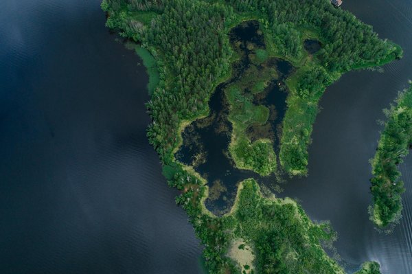 Peut-on Séjourner dans un Camping Nature & Résidence Loisirs avec des Animaux ?